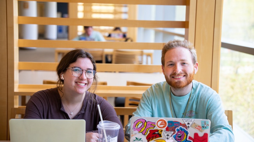 Two students sit together at laptops in the library