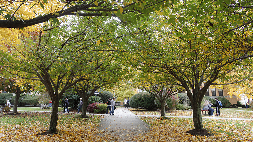 The front of Salem State's Sullivan Building during the fall season