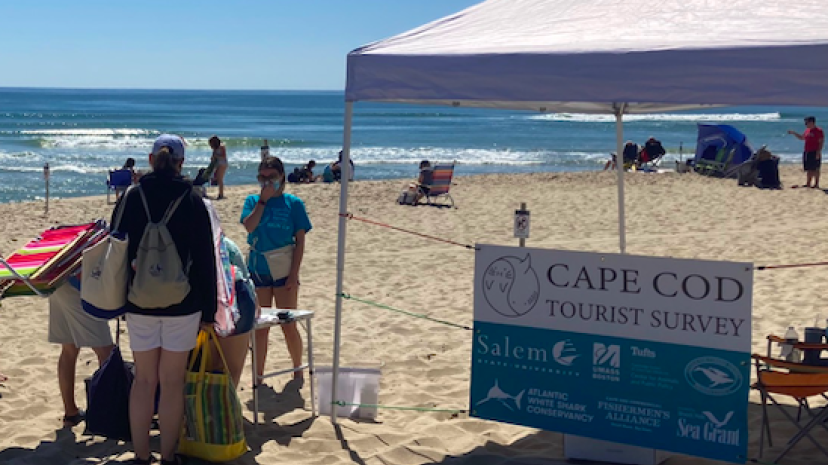 Salem State-Led Team Surveys Views of Seal and Sharks on Cape Cod