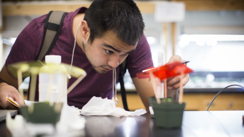 student in lab