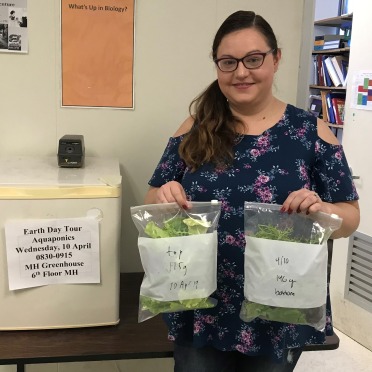 A student working on a Greenhouse project